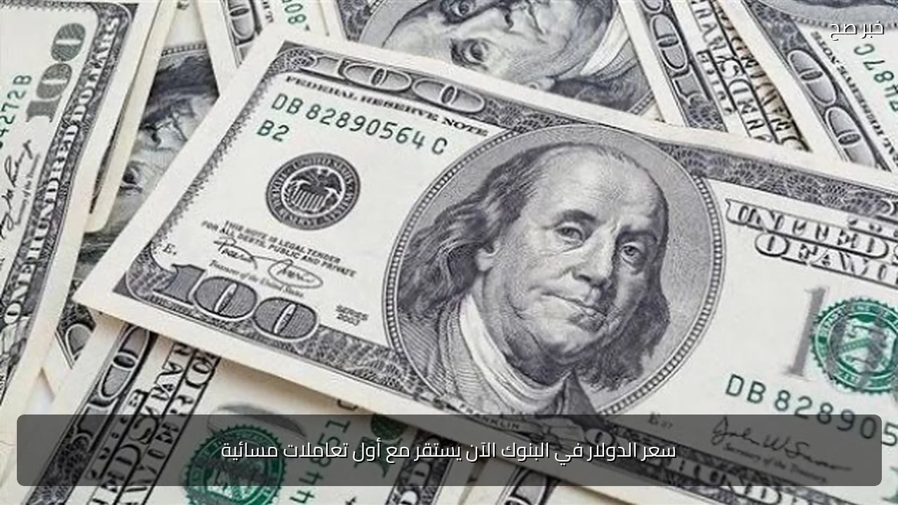 سعر الدولار في البنوك الآن يستقر مع أول تعاملات مسائية