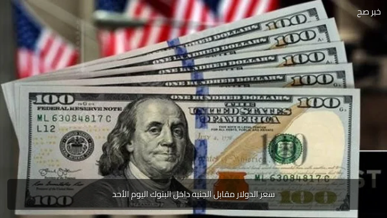 سعر الدولار مقابل الجنيه داخل البنوك اليوم الأحد