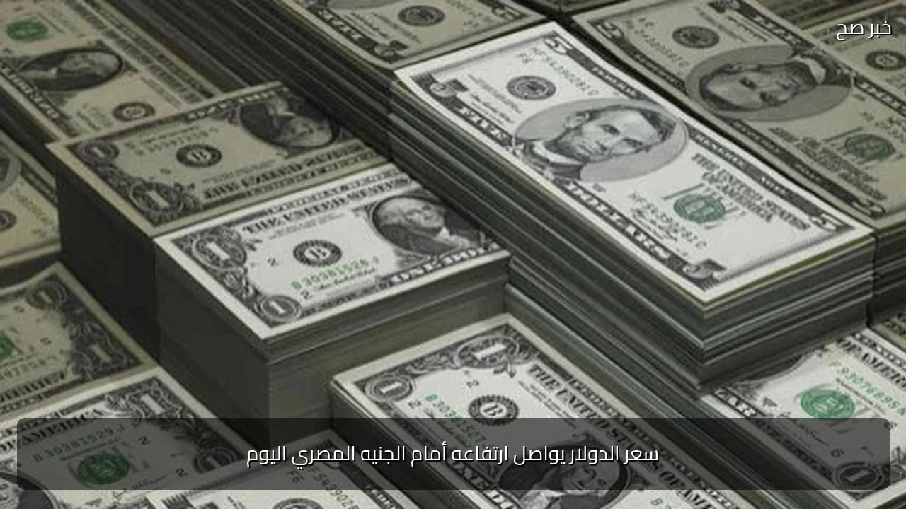 سعر الدولار يواصل ارتفاعه أمام الجنيه المصري اليوم