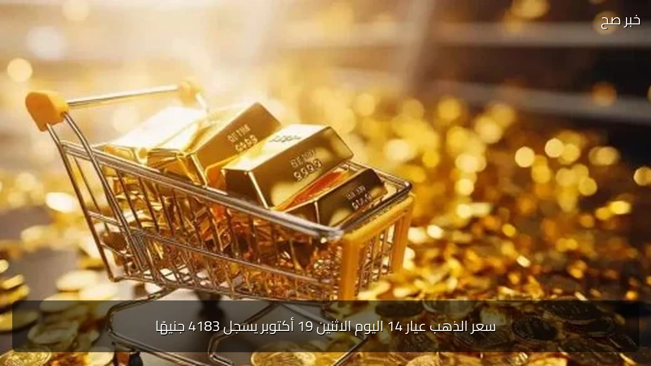 سعر الذهب عيار 14 اليوم الاثنين 19 أكتوبر يسجل 4183 جنيهًا