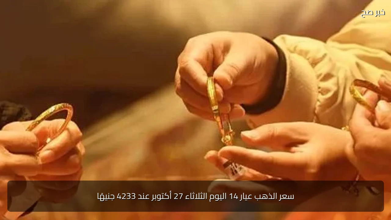 سعر الذهب عيار 14 اليوم الثلاثاء 27 أكتوبر عند 4233 جنيهًا