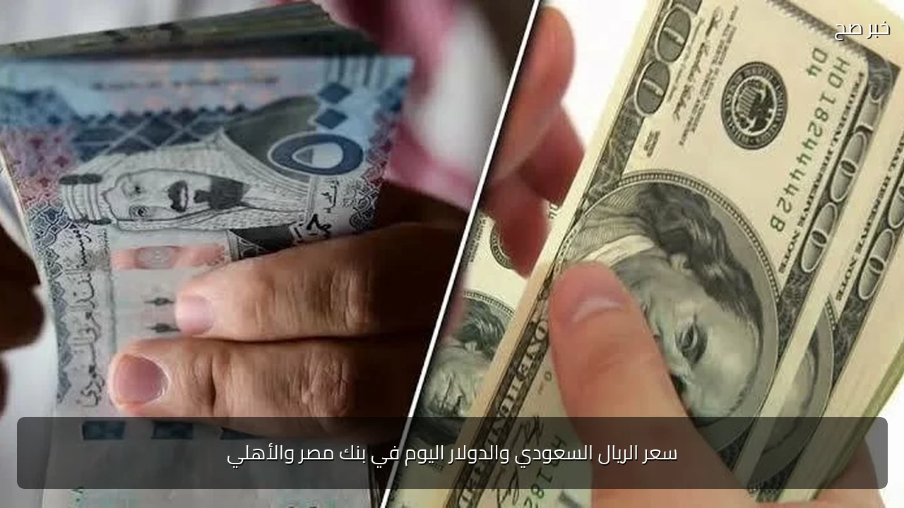 سعر الريال السعودي والدولار اليوم في بنك مصر والأهلي