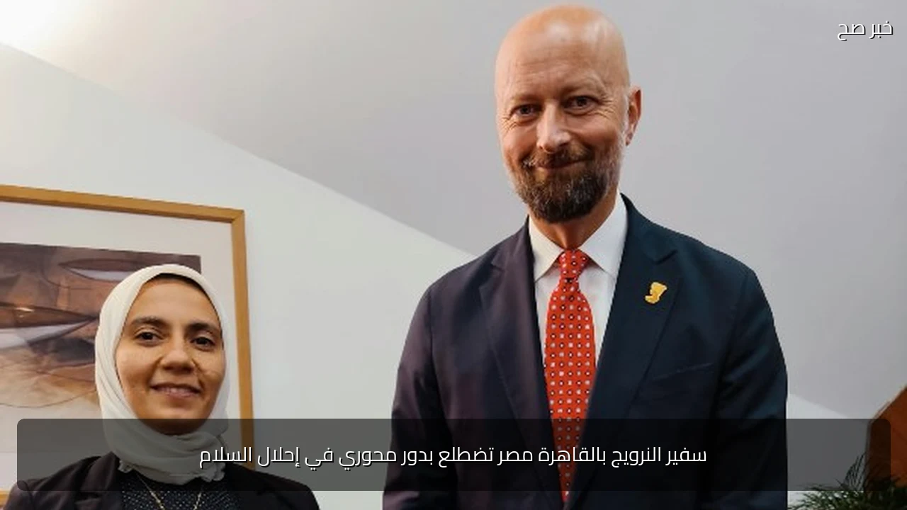 سفير النرويج بالقاهرة مصر تضطلع بدور محوري في إحلال السلام