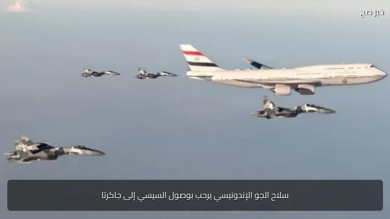 سلاح الجو الإندونيسي يرحب بوصول السيسي إلى جاكرتا