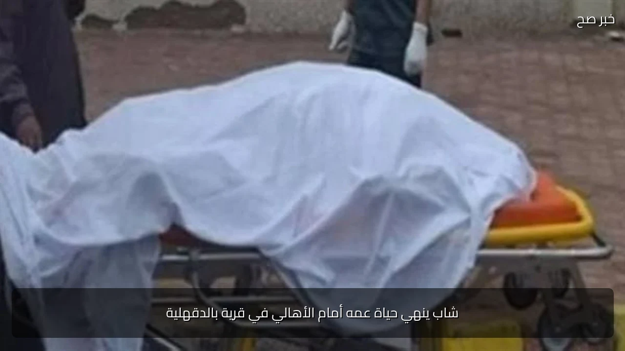 شاب ينهي حياة عمه أمام الأهالي في قرية بالدقهلية
