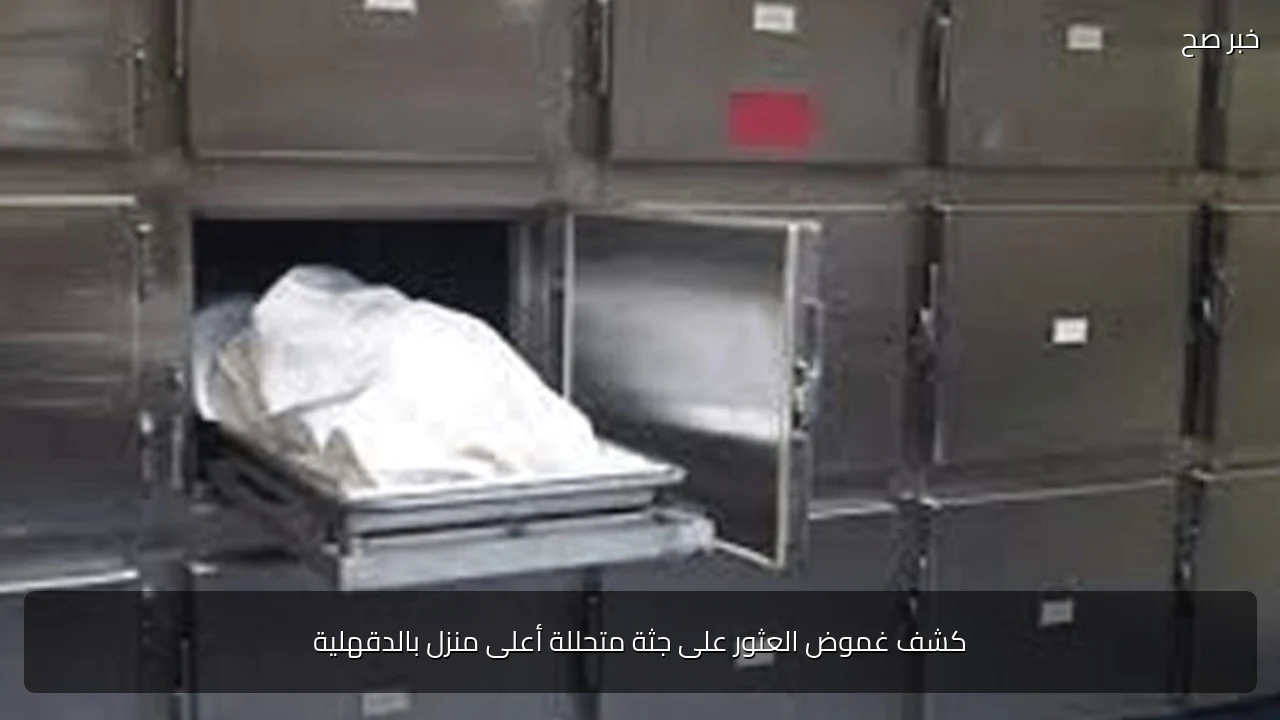 كشف غموض العثور على جثة متحللة أعلى منزل بالدقهلية