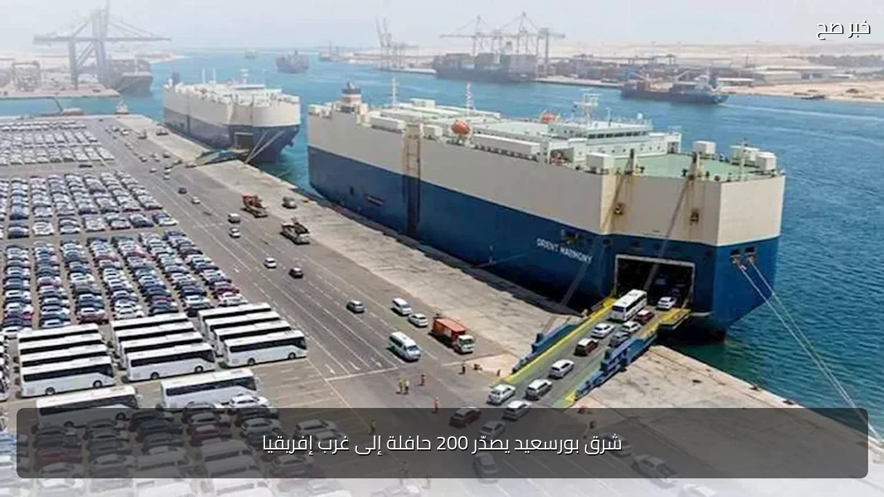 شرق بورسعيد يصدّر 200 حافلة إلى غرب إفريقيا