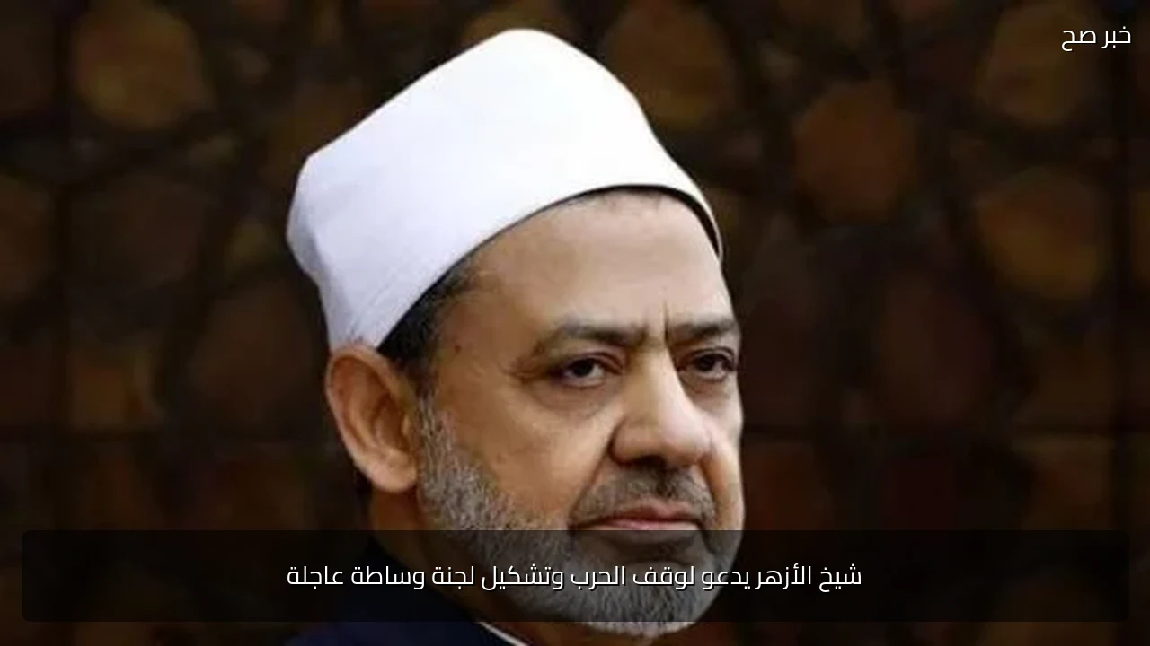 شيخ الأزهر يدعو لوقف الحرب وتشكيل لجنة وساطة عاجلة