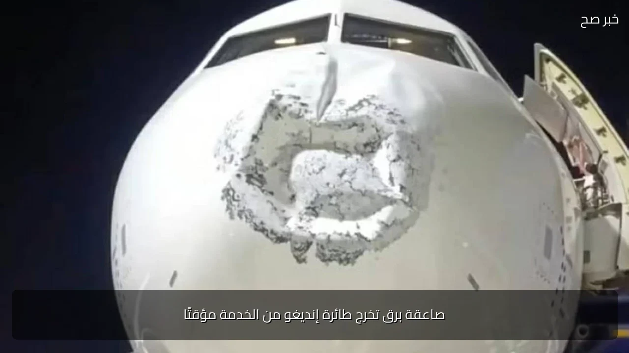 صاعقة برق تخرج طائرة إنديغو من الخدمة مؤقتًا
