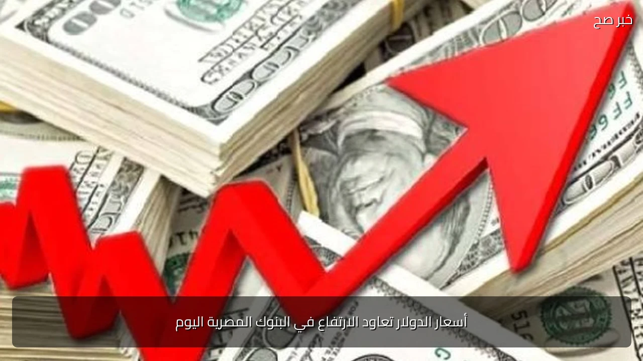 أسعار الدولار تعاود الارتفاع في البنوك المصرية اليوم