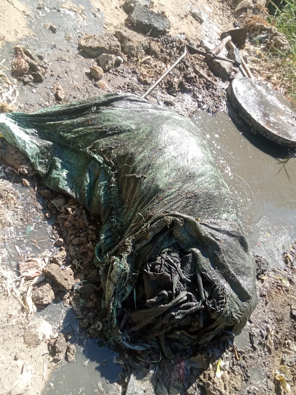ضبط 12 مصنعًا لتخليل الزيتون دون ترخيص بالفيوم ضبط 12 مصنعًا لتخليل الزيتون دون ترخيص بالفيوم