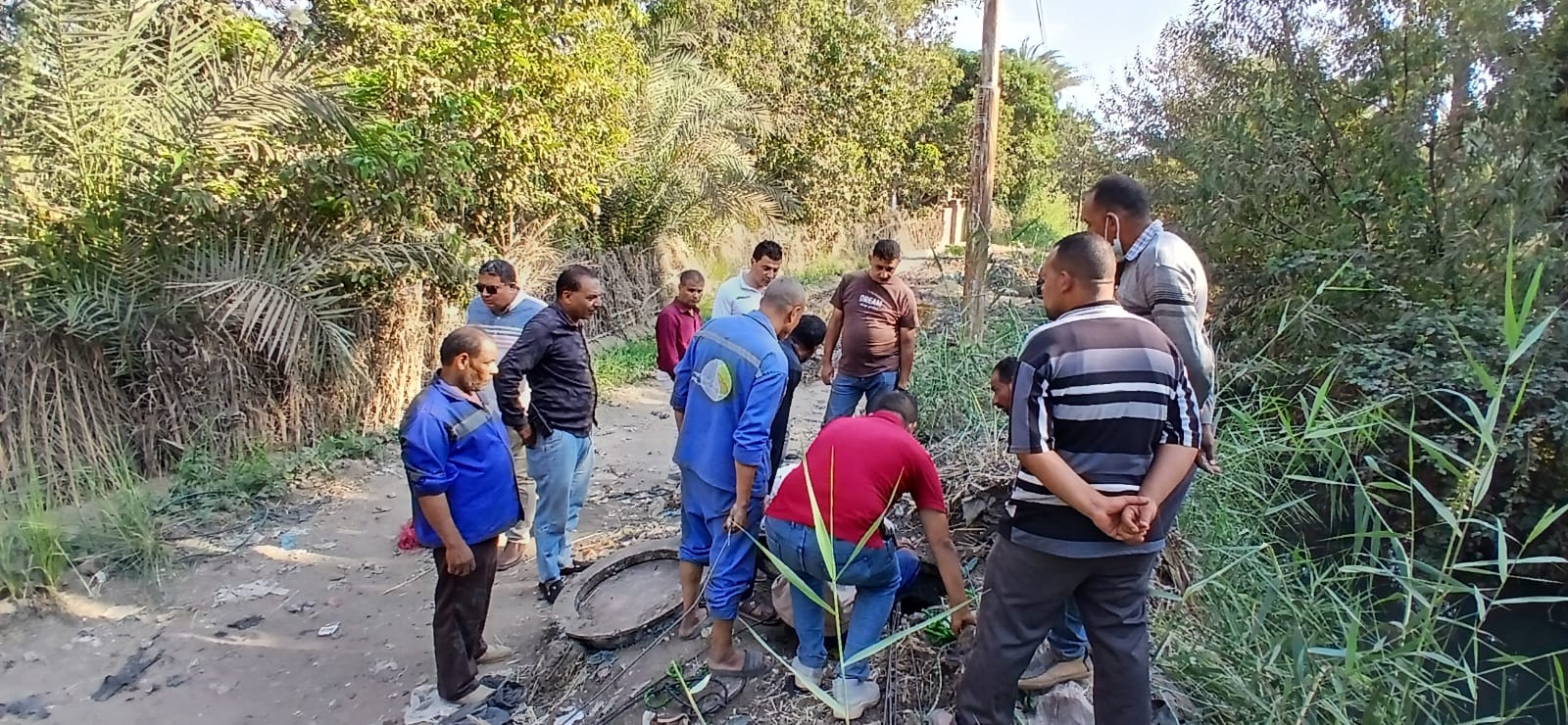 ضبط 12 مصنعًا لتخليل الزيتون دون ترخيص بالفيوم ضبط 12 مصنعًا لتخليل الزيتون دون ترخيص بالفيوم