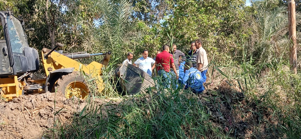 ضبط 12 مصنعًا لتخليل الزيتون دون ترخيص بالفيوم ضبط 12 مصنعًا لتخليل الزيتون دون ترخيص بالفيوم