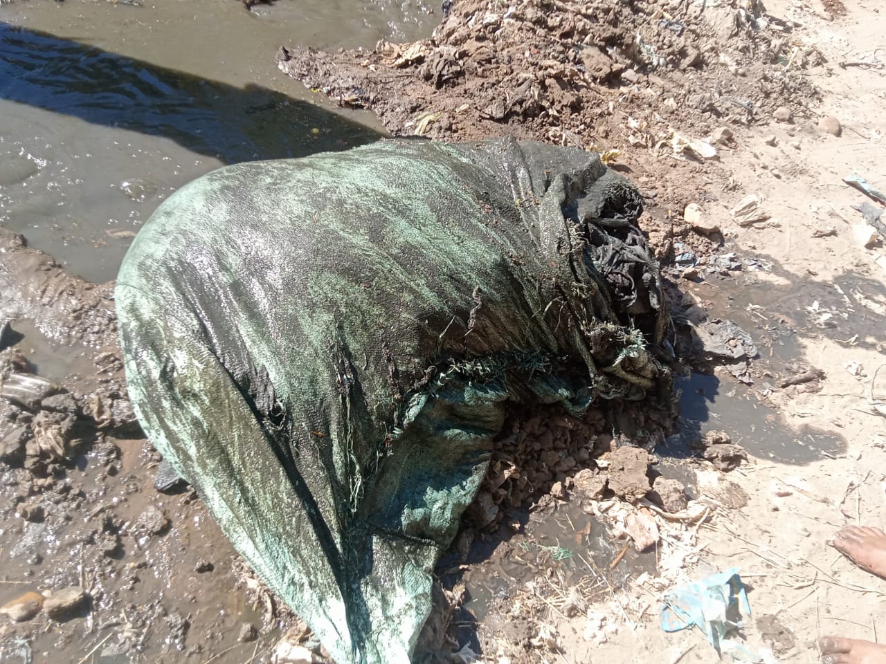 ضبط 12 مصنعًا لتخليل الزيتون دون ترخيص بالفيوم ضبط 12 مصنعًا لتخليل الزيتون دون ترخيص بالفيوم