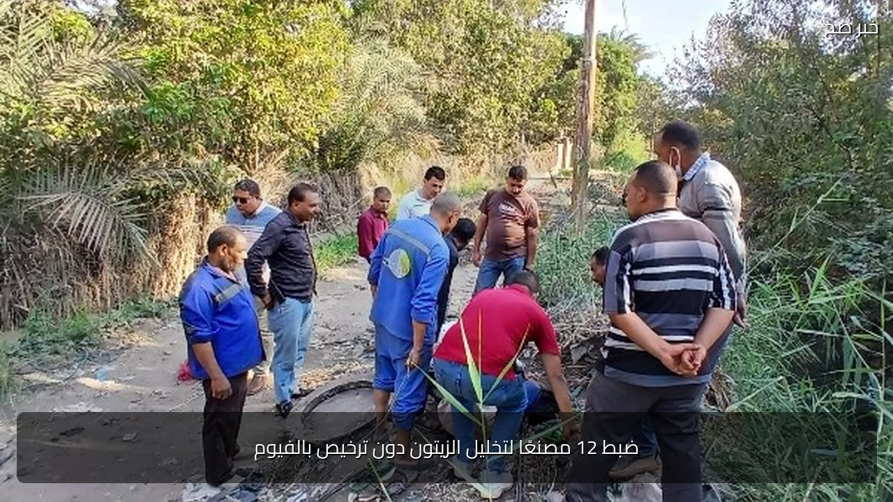 ضبط 12 مصنعًا لتخليل الزيتون دون ترخيص بالفيوم