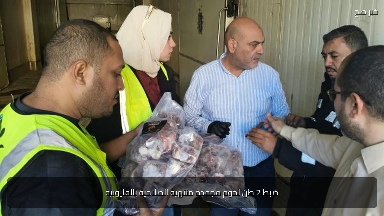 ضبط 2 طن لحوم مجمدة منتهية الصلاحية بالقليوبية