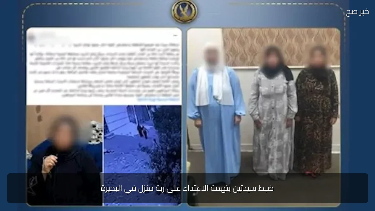 ضبط سيدتين بتهمة الاعتداء على ربة منزل في البحيرة