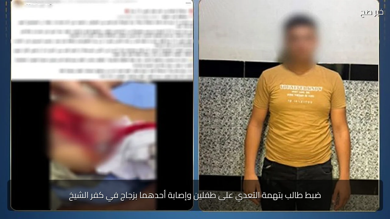 ضبط طالب بتهمة التعدي على طفلين وإصابة أحدهما بزجاج في كفر الشيخ