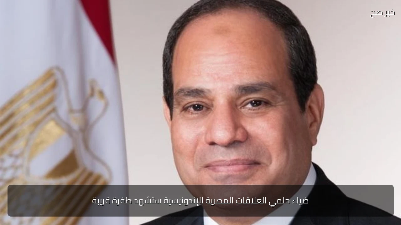 ضياء حلمي العلاقات المصرية الإندونيسية ستشهد طفرة قريبة