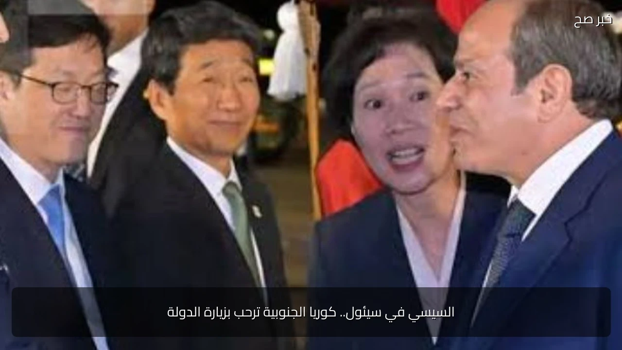 السيسي في سيئول.. كوريا الجنوبية ترحب بزيارة الدولة