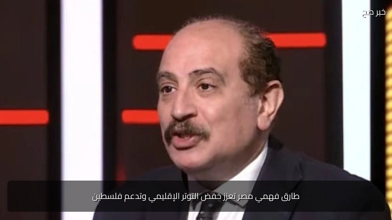 طارق فهمي مصر تعزز خفض التوتر الإقليمي وتدعم فلسطين