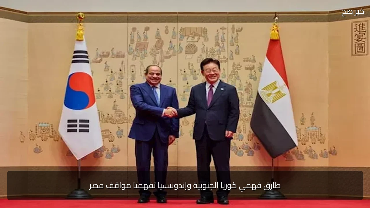 طارق فهمي كوريا الجنوبية وإندونيسيا تفهمتا مواقف مصر