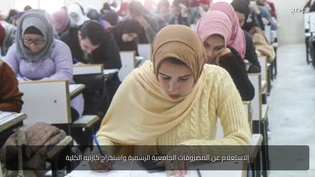 الاستعلام عن المصروفات الجامعية الرسمية واستخراج كارنيه الكلية