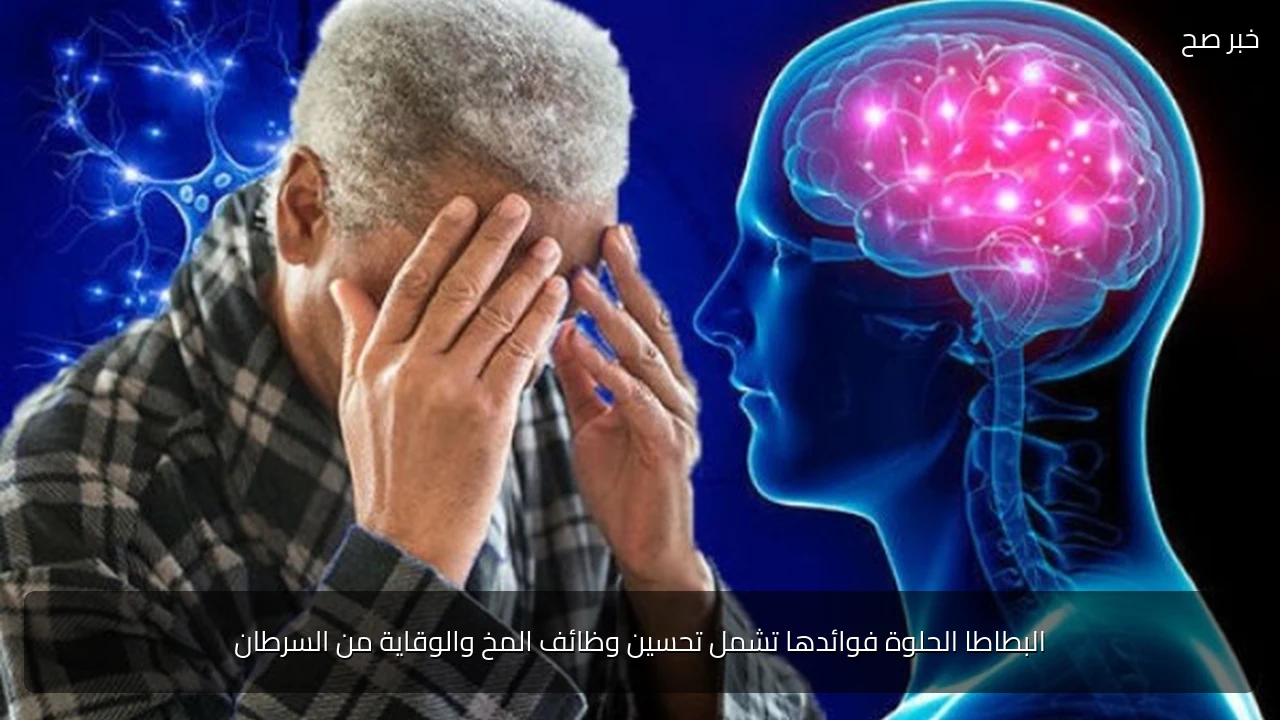 البطاطا الحلوة فوائدها تشمل تحسين وظائف المخ والوقاية من السرطان