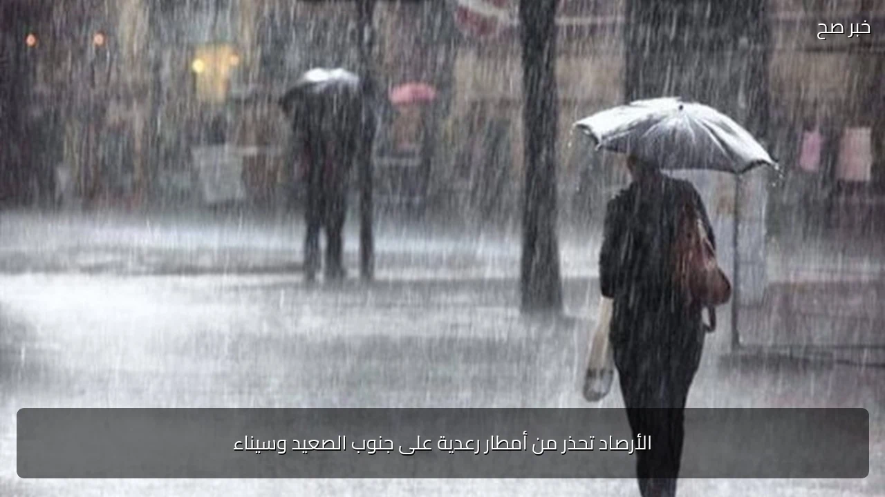 الأرصاد تحذر من أمطار رعدية على جنوب الصعيد وسيناء