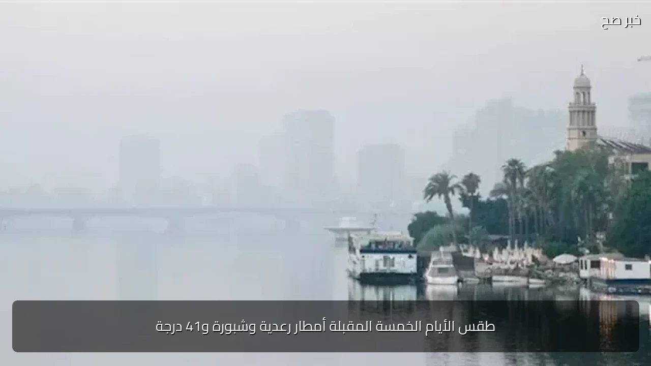 طقس الأيام الخمسة المقبلة أمطار رعدية وشبورة و41 درجة