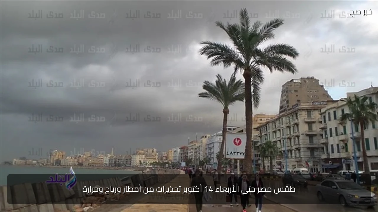 طقس مصر حتى الأربعاء 14 أكتوبر تحذيرات من أمطار ورياح وحرارة