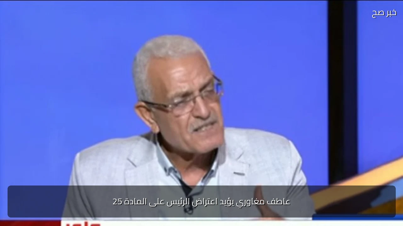 عاطف مغاوري يؤيد اعتراض الرئيس على المادة 25