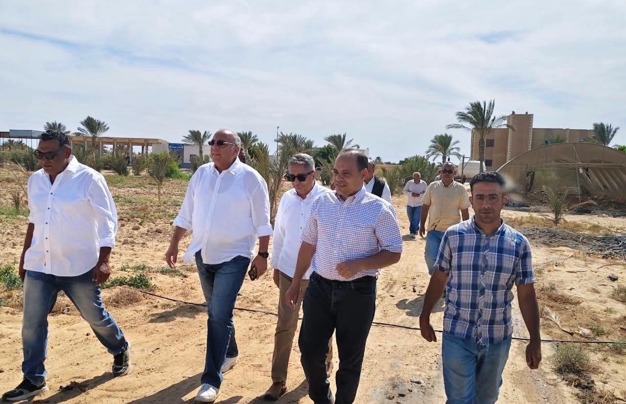 عباد الشمس بالمياه المالحة يدعم التنمية المستدامة برأس سدر عباد الشمس بالمياه المالحة يدعم التنمية المستدامة برأس سدر