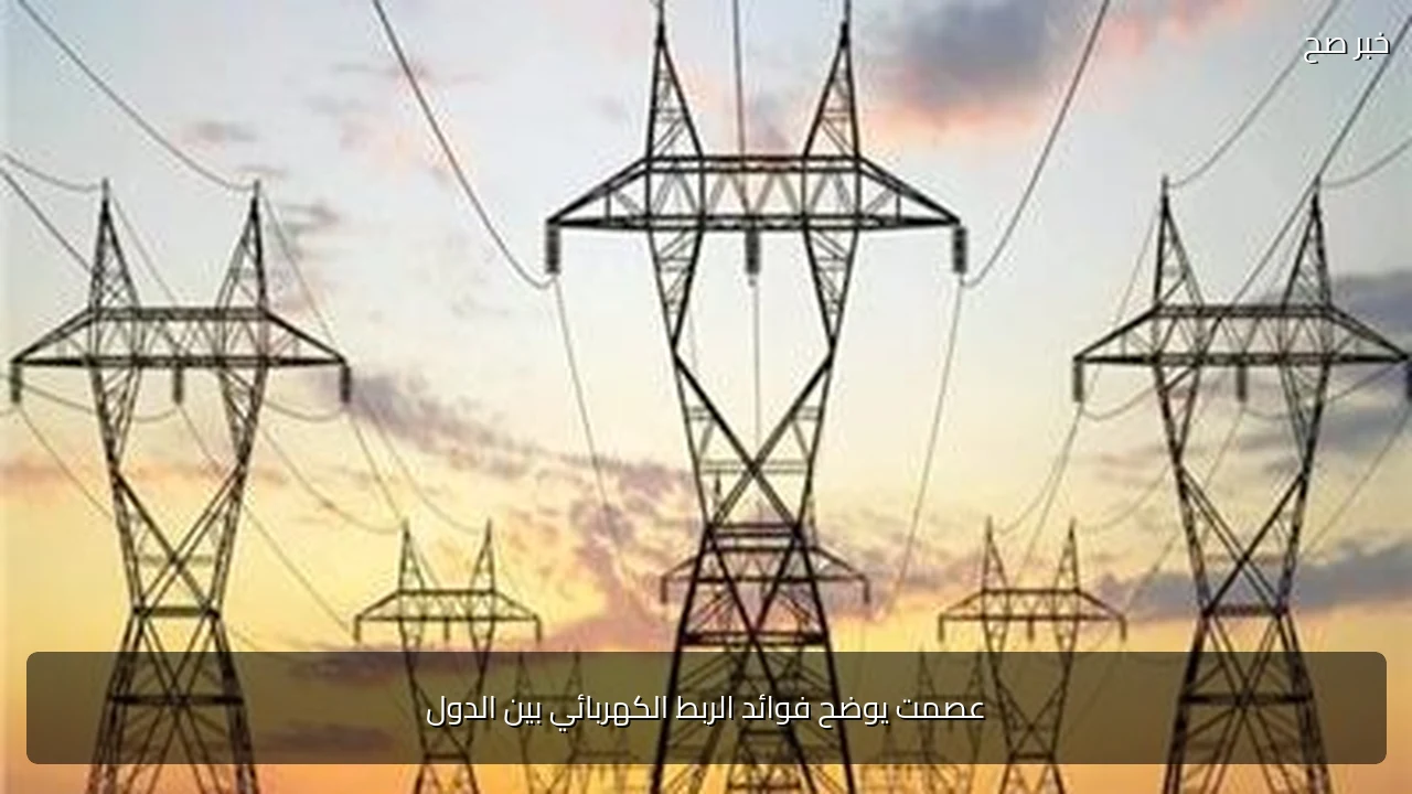 عصمت يوضح فوائد الربط الكهربائي بين الدول