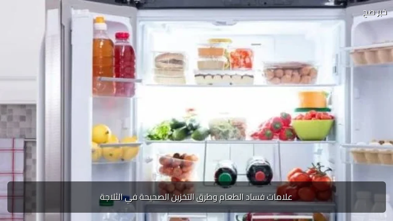 علامات فساد الطعام وطرق التخزين الصحيحة في الثلاجة