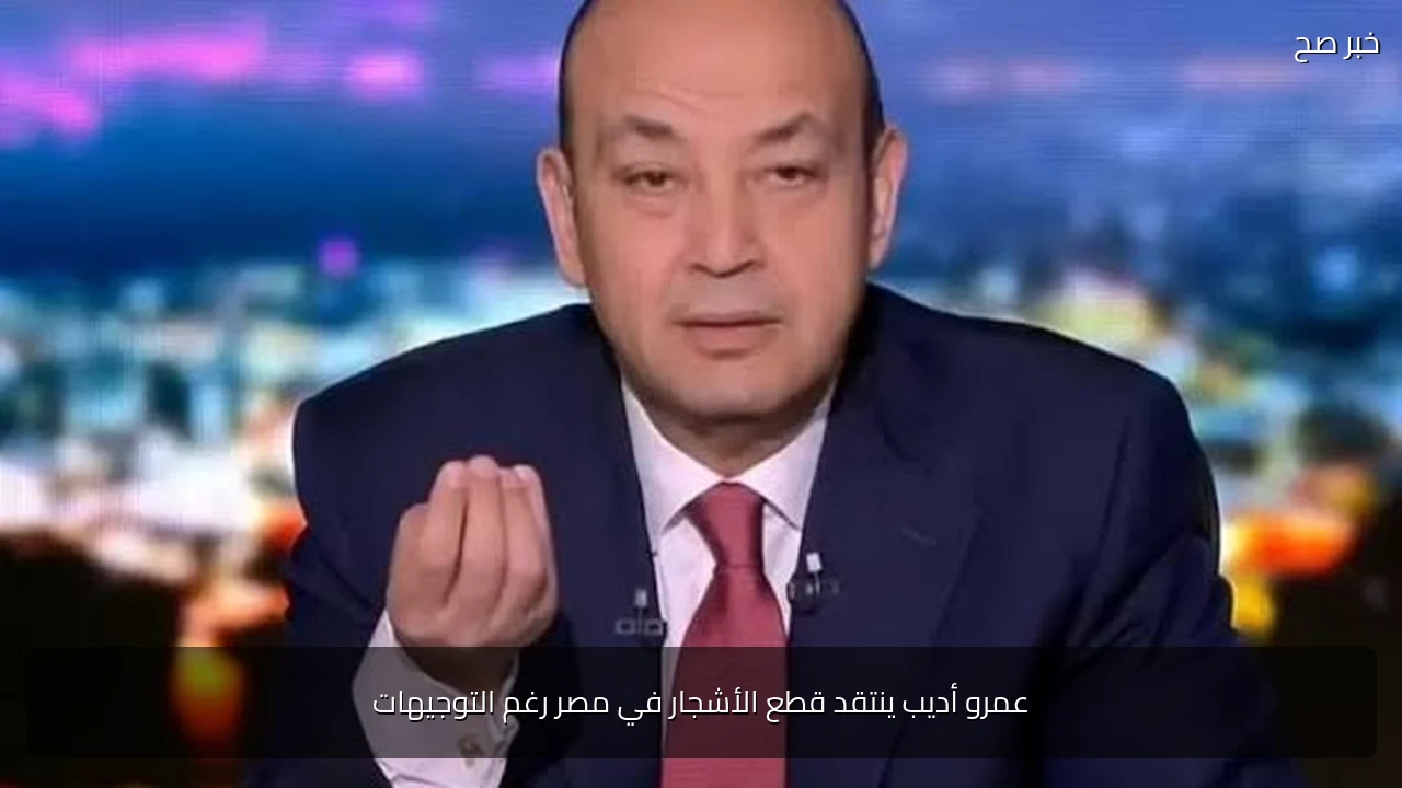 عمرو أديب ينتقد قطع الأشجار في مصر رغم التوجيهات
