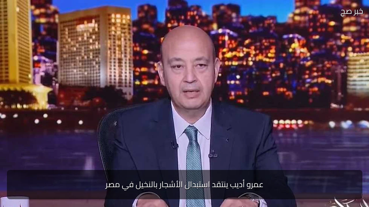 عمرو أديب ينتقد استبدال الأشجار بالنخيل في مصر