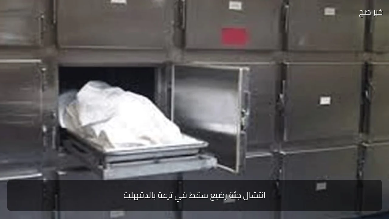 انتشال جثة رضيع سقط في ترعة بالدقهلية