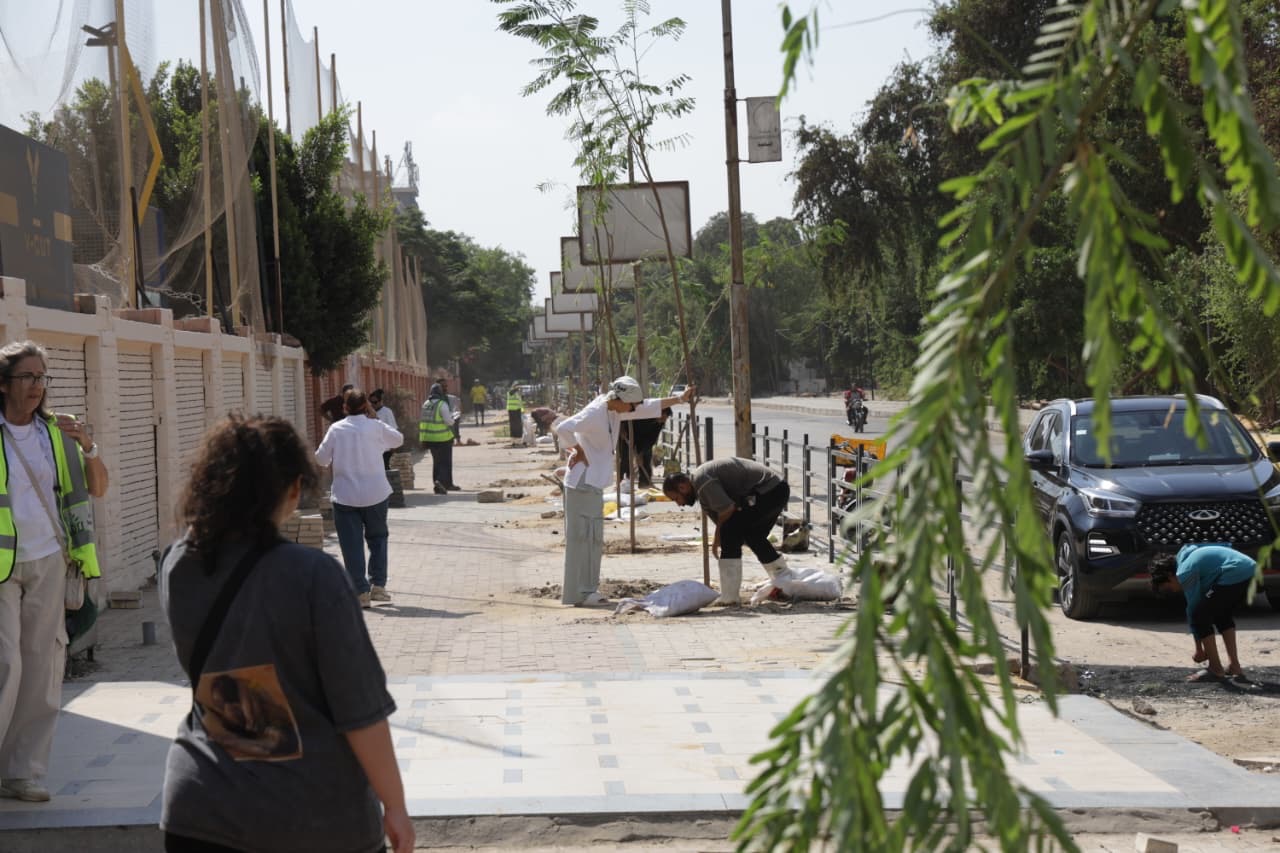 عوض زراعة 220 شجرة بالمعادي بالتعاون مع الشاغلين عوض زراعة 220 شجرة بالمعادي بالتعاون مع الشاغلين
