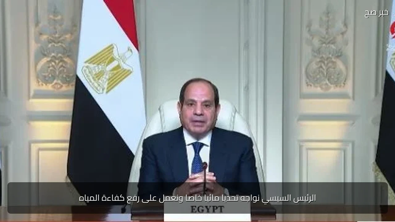 الرئيس السيسي نواجه تحديا مائيا خاصا ونعمل على رفع كفاءة المياه