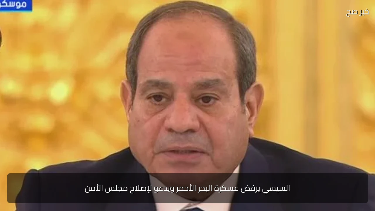 السيسي يرفض عسكرة البحر الأحمر ويدعو لإصلاح مجلس الأمن
