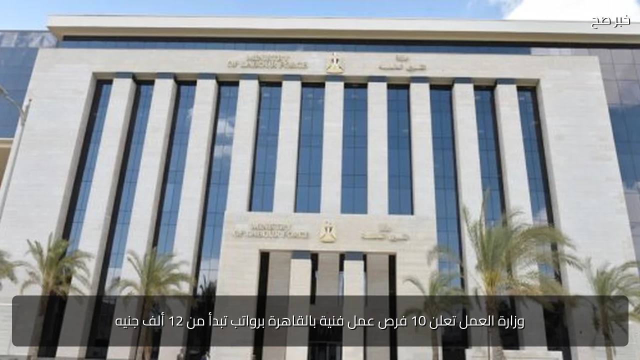 وزارة العمل تعلن 10 فرص عمل فنية بالقاهرة برواتب تبدأ من 12 ألف جنيه