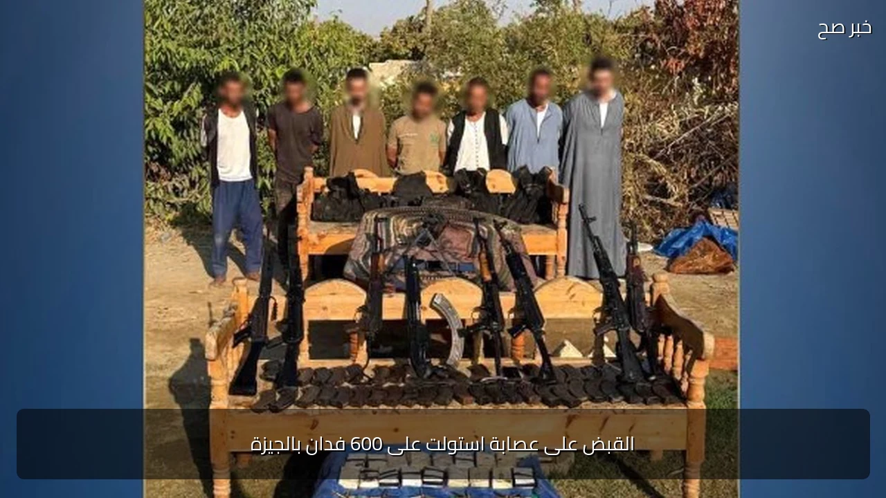 القبض على عصابة استولت على 600 فدان بالجيزة