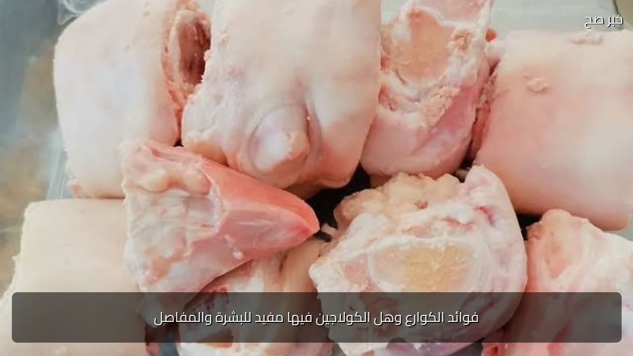 فوائد الكوارع وهل الكولاجين فيها مفيد للبشرة والمفاصل