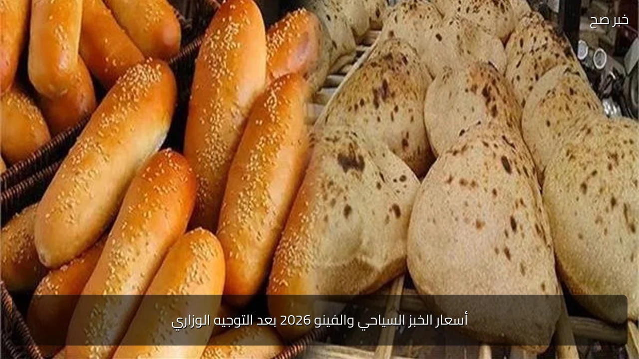 أسعار الخبز السياحي والفينو 2026 بعد التوجيه الوزاري