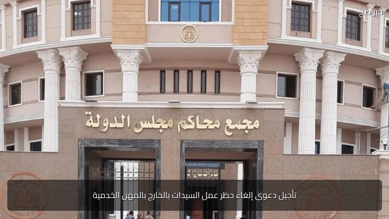 تأجيل دعوى إلغاء حظر عمل السيدات بالخارج بالمهن الخدمية
