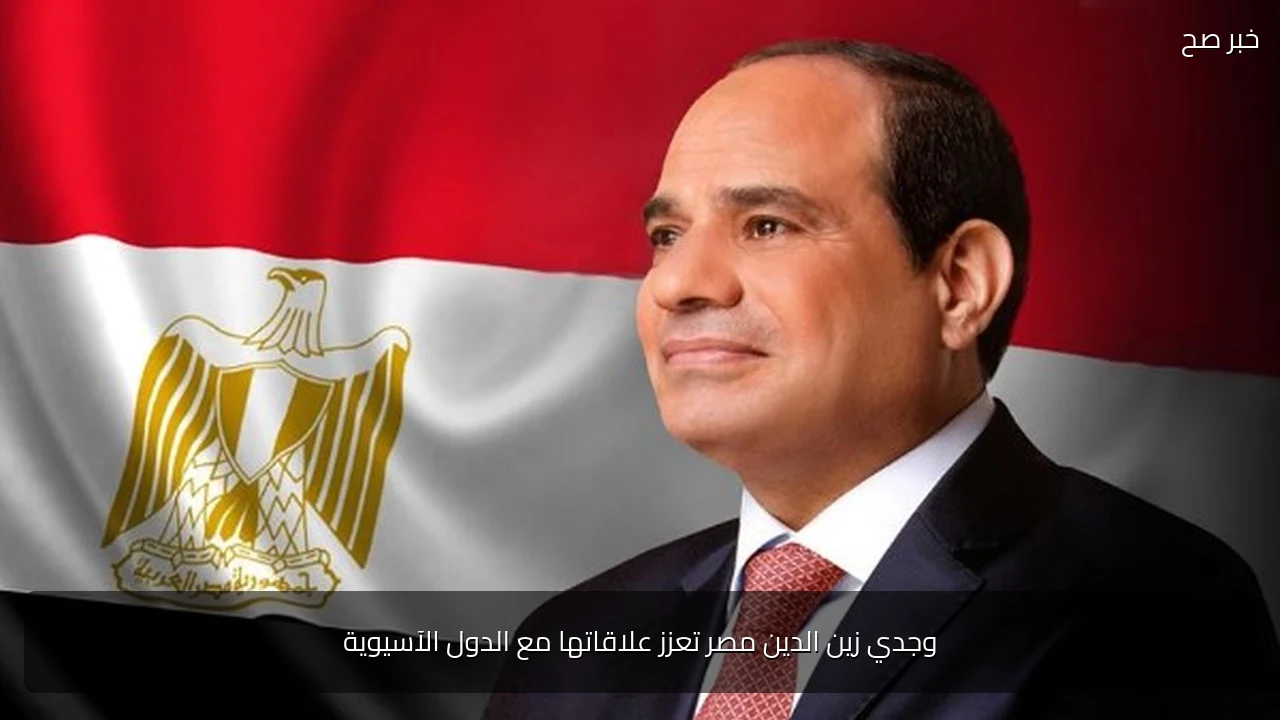 وجدي زين الدين مصر تعزز علاقاتها مع الدول الآسيوية