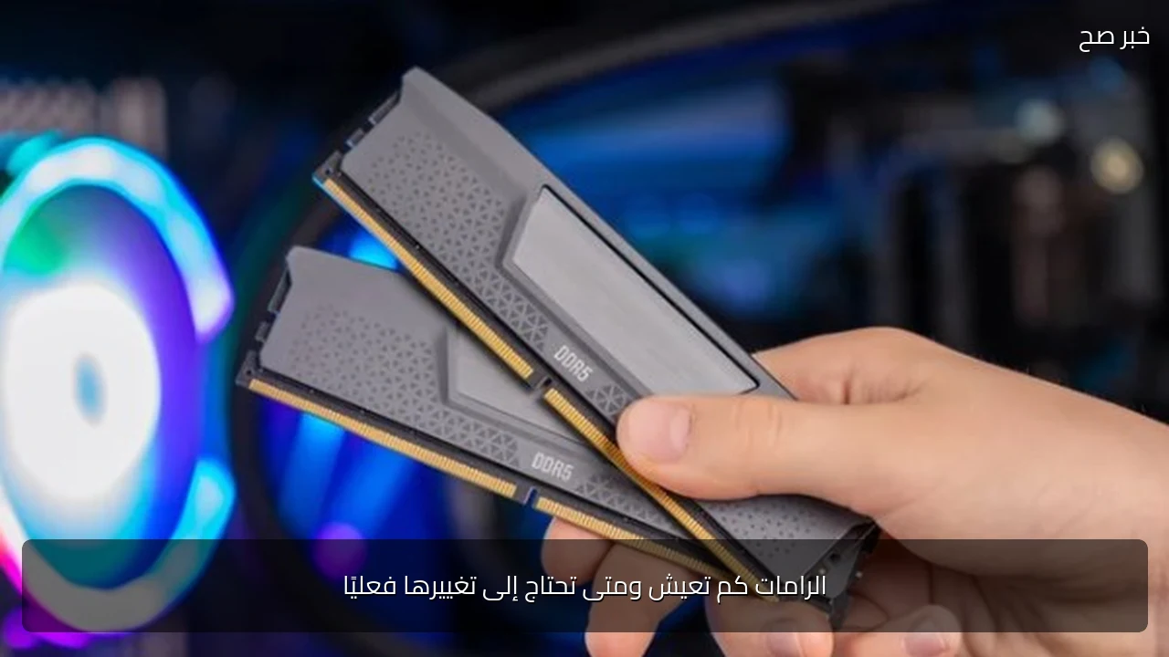 الرامات كم تعيش ومتى تحتاج إلى تغييرها فعليًا