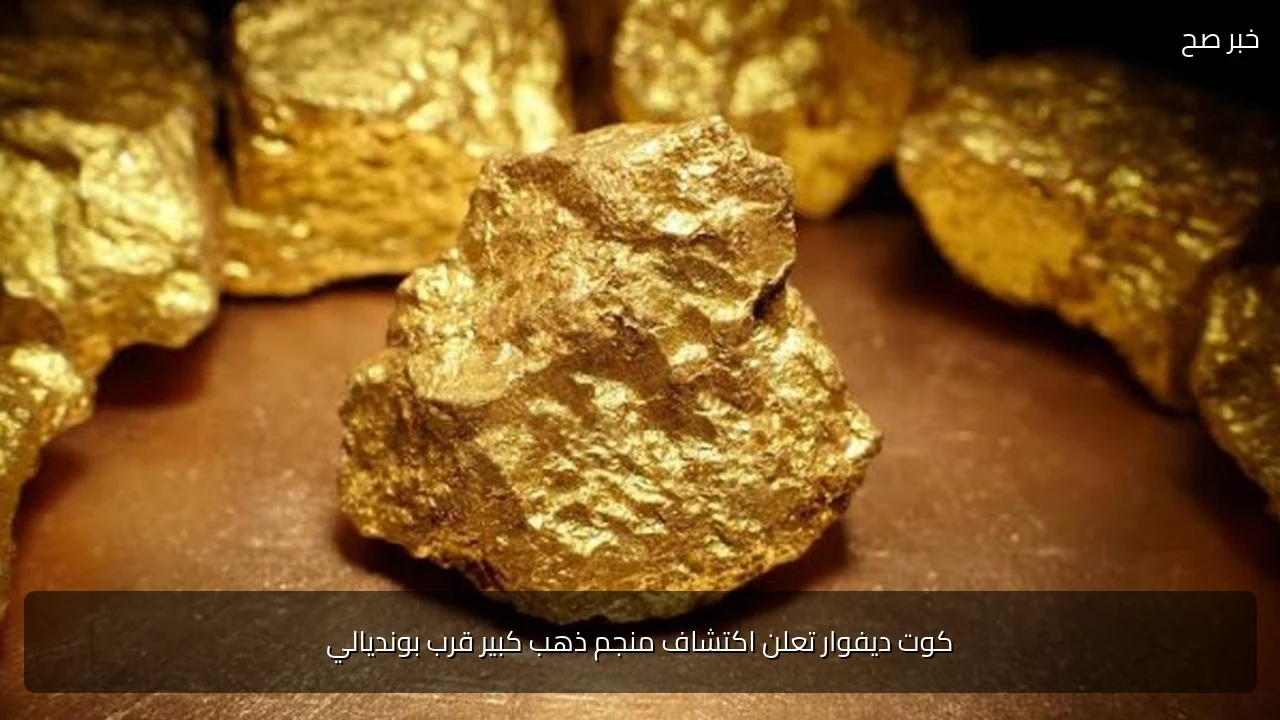 كوت ديفوار تعلن اكتشاف منجم ذهب كبير قرب بونديالي