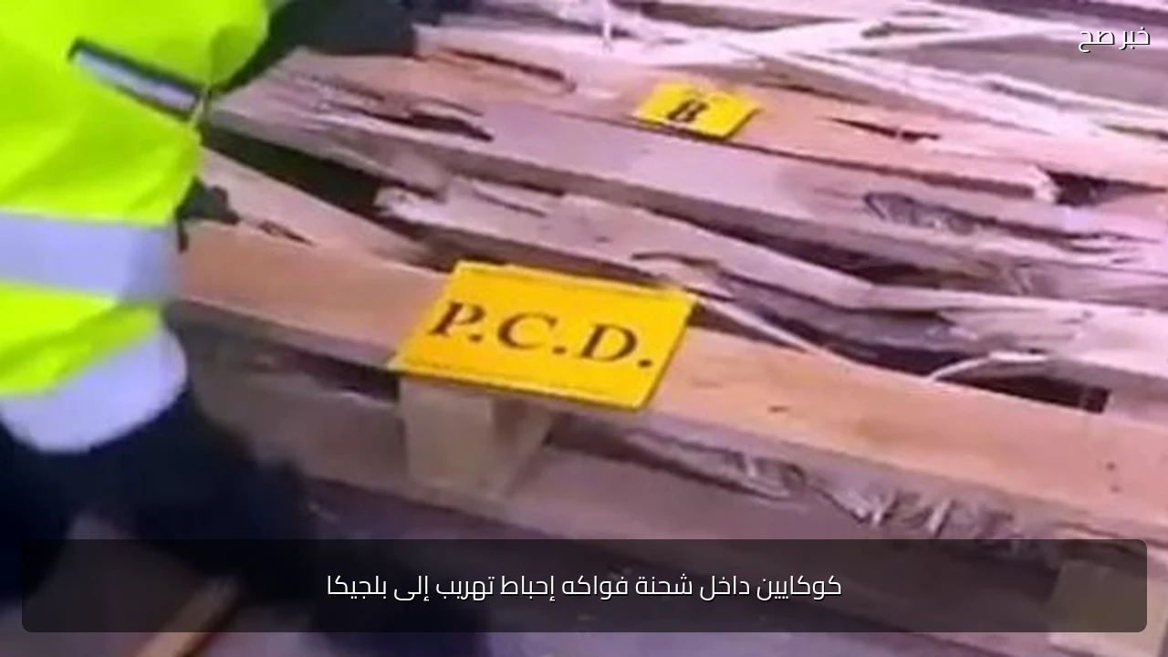كوكايين داخل شحنة فواكه إحباط تهريب إلى بلجيكا